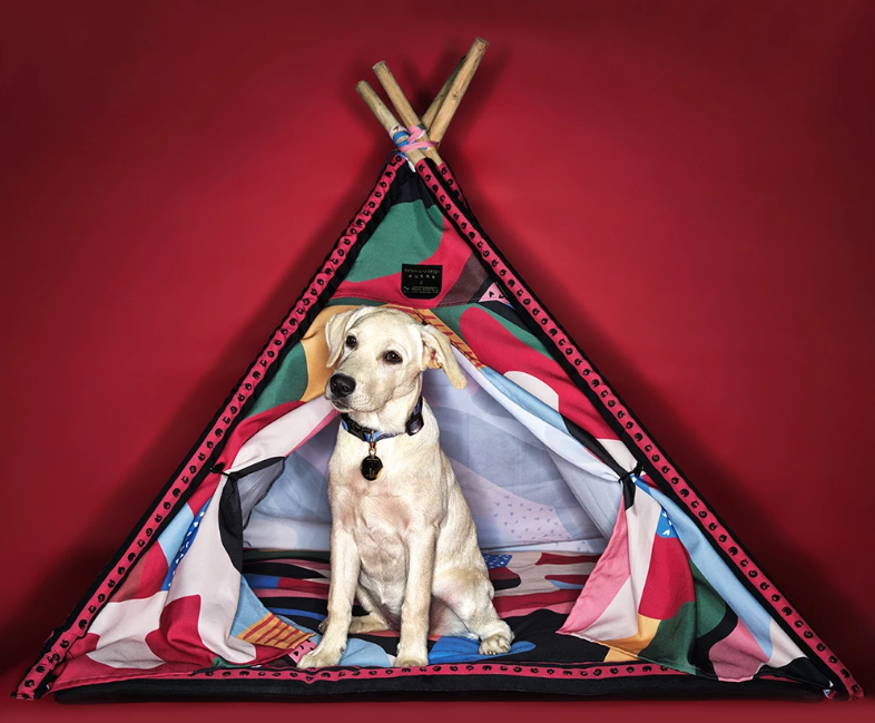 HUFT GIVES PET MERCHANDISE A NEW SPIN