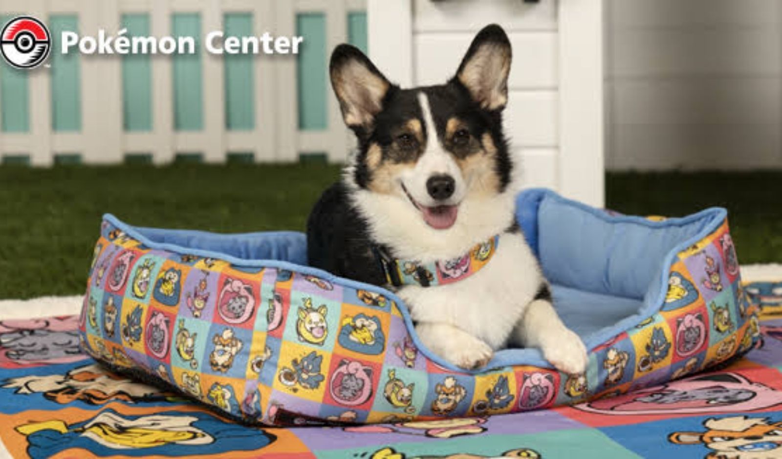 Pokémon Center Launches First-Ever Pet Accessories Collection