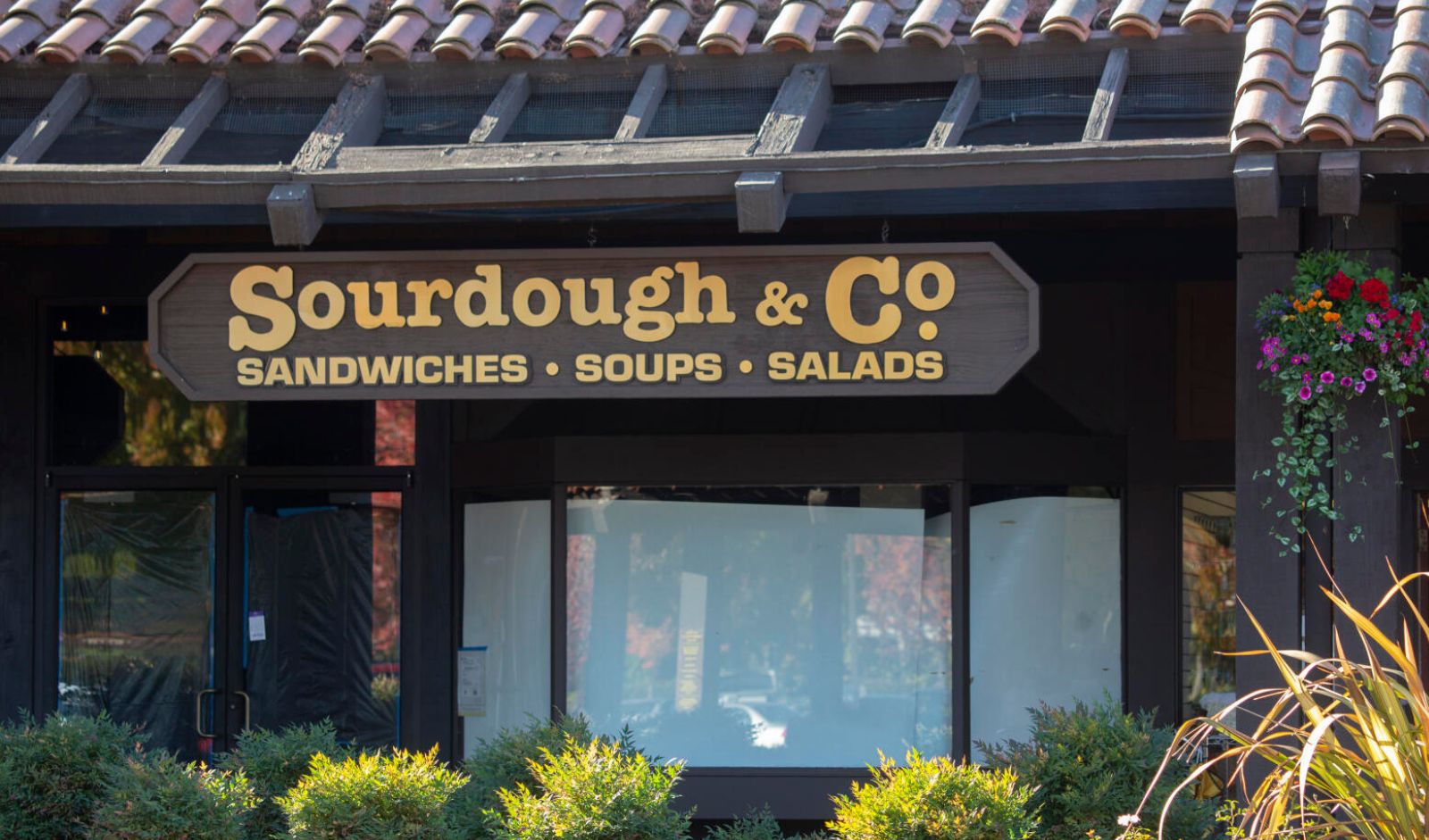 Franchise TV Exclusive: California Based Sourdough & Co. Enters India in Partnership With FranGlobal