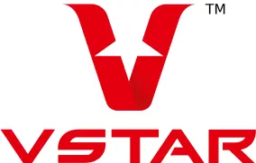 V Star Franchise Brand Logo
